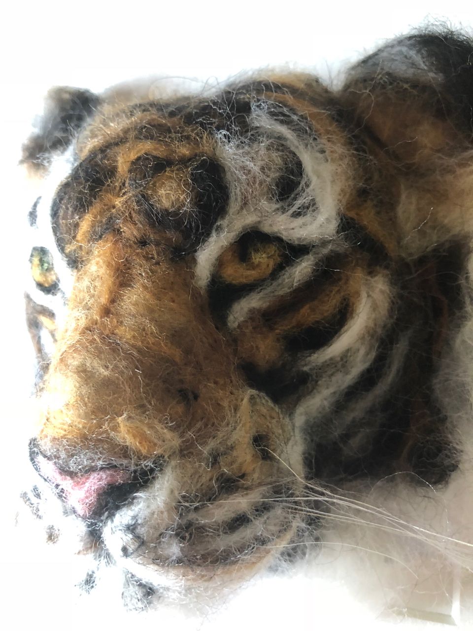 My Bengal Tiger